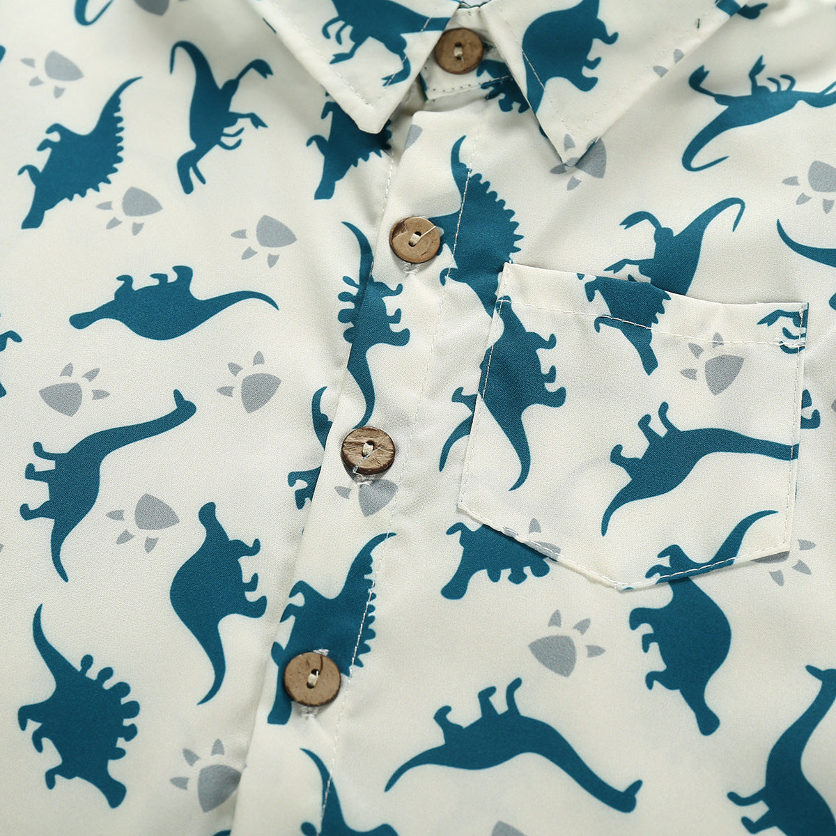 Boys Dinosaur Print Short Sleeve Outfit