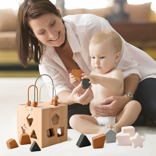 Children's Wooden Geometric Box Puzzle