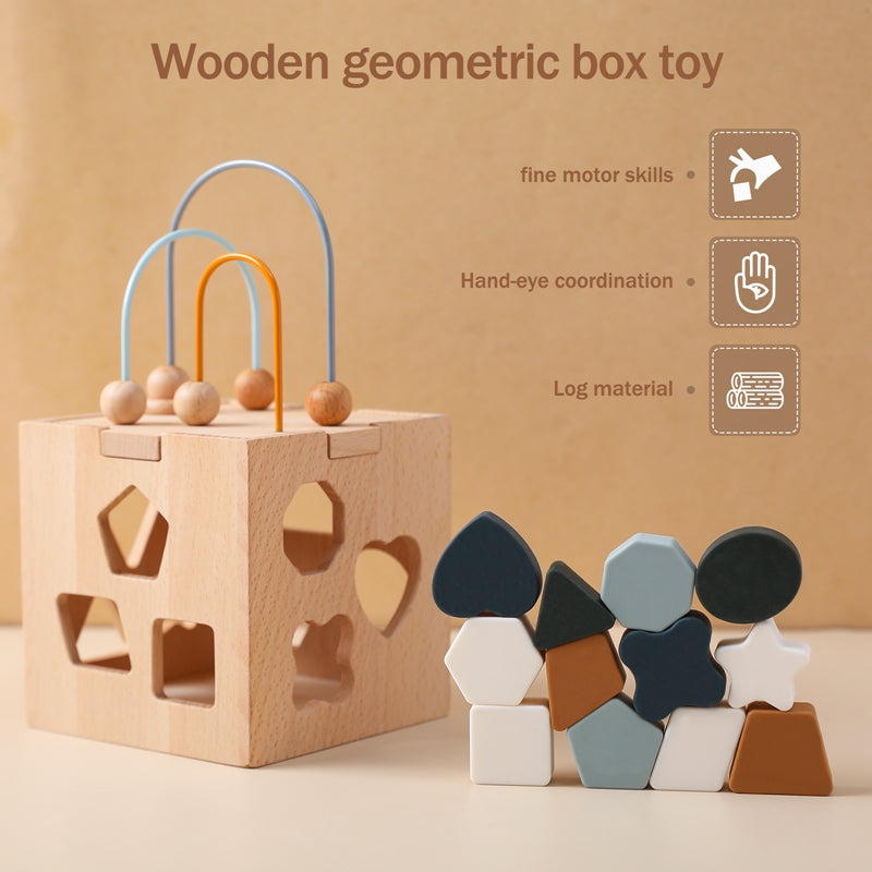 Children's Wooden Geometric Box Puzzle