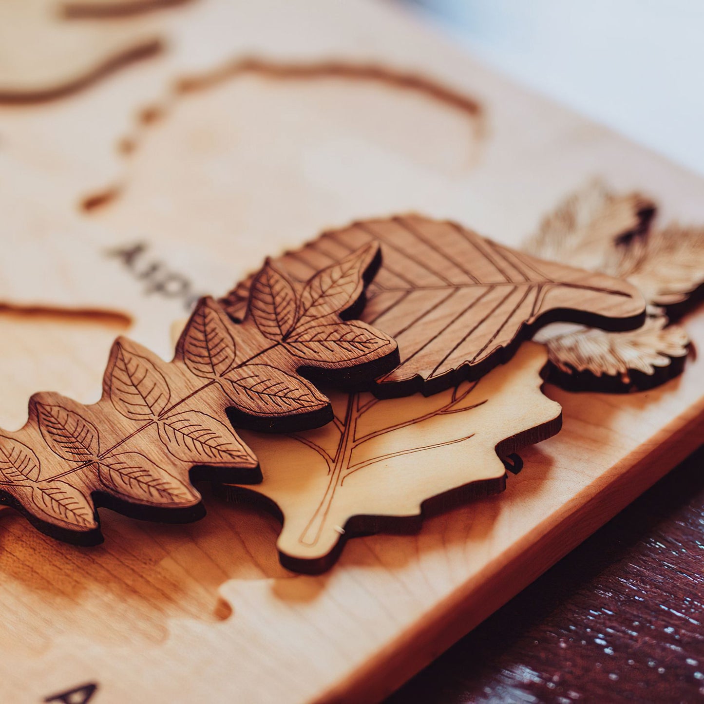 Wooden Leaf Puzzle