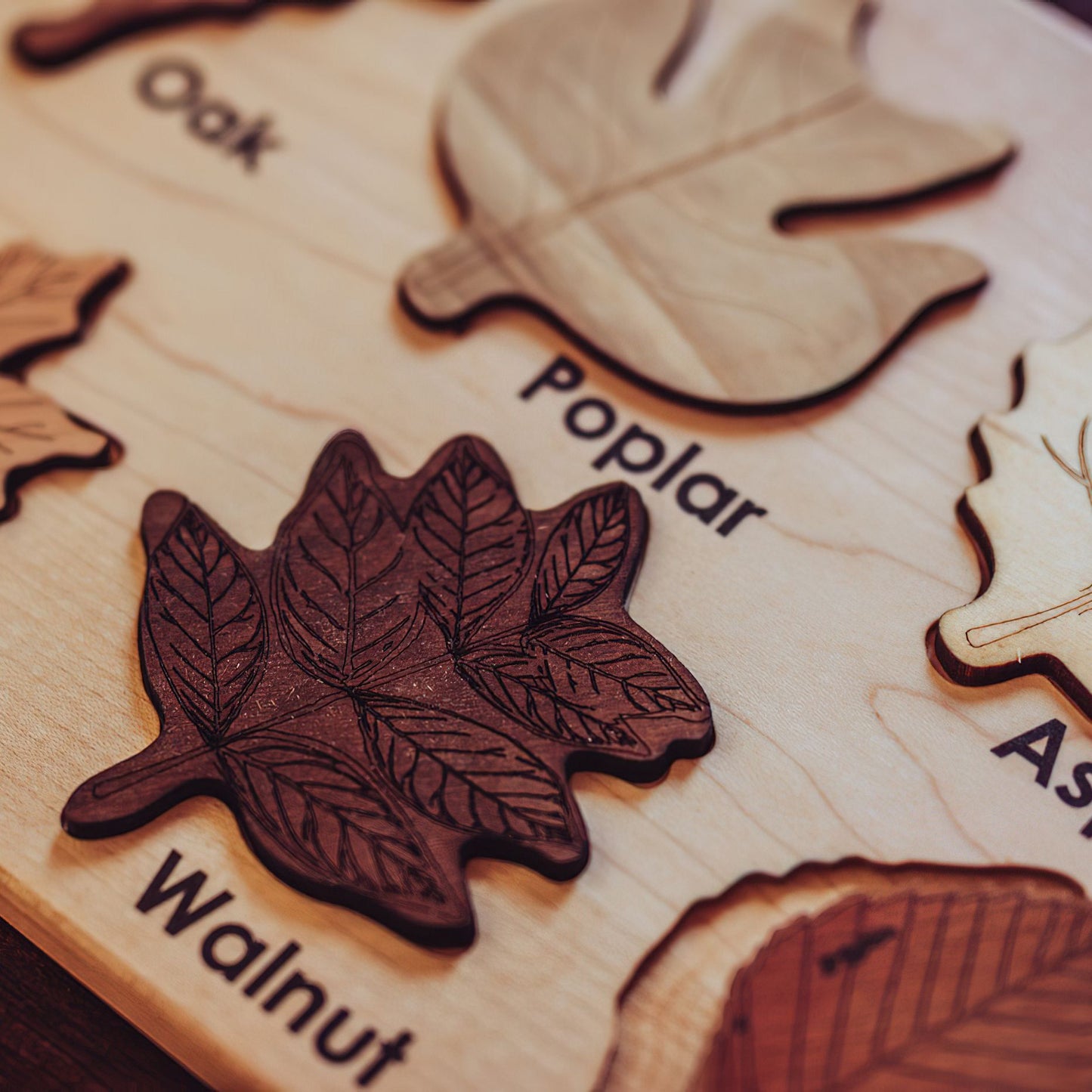 Wooden Leaf Puzzle